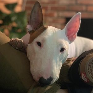 Meet your Posher, Margo